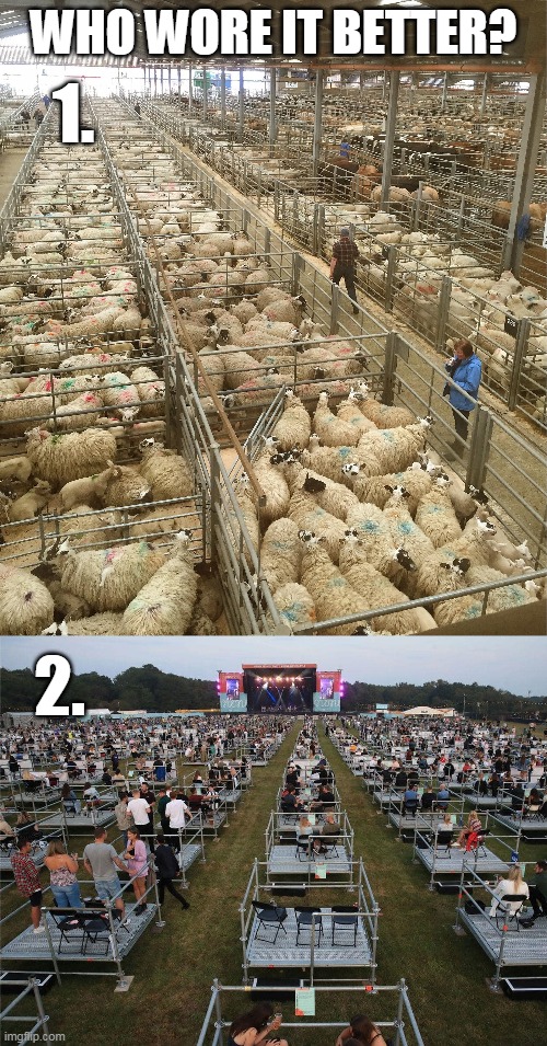 Lambs To The Slaughter | WHO WORE IT BETTER? 1. 2. | image tagged in memes,sheeple,coronavirus,plandemic,pandemic,covid19 | made w/ Imgflip meme maker