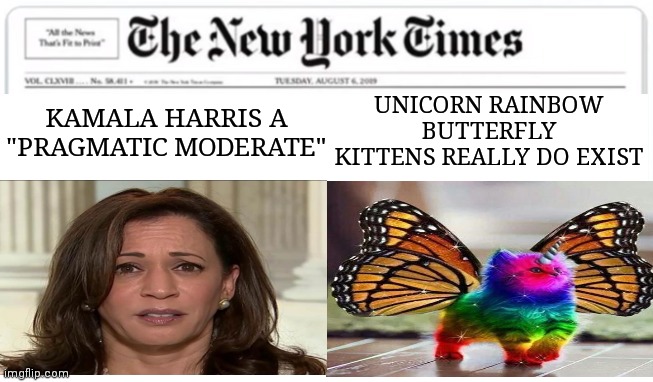 UNICORN RAINBOW BUTTERFLY KITTENS REALLY DO EXIST; KAMALA HARRIS A "PRAGMATIC MODERATE" | image tagged in memes | made w/ Imgflip meme maker