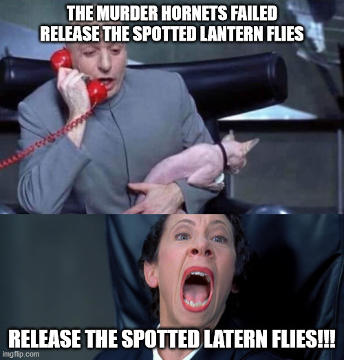 Release the Spotted Latern Flies | THE MURDER HORNETS FAILED RELEASE THE SPOTTED LANTERN FLIES; RELEASE THE SPOTTED LATERN FLIES!!! | image tagged in release the spotted lantern flies,lantern flies,dr_evil | made w/ Imgflip meme maker