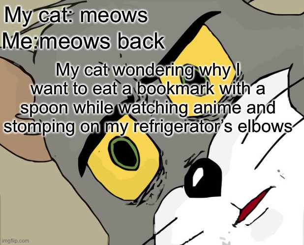 Unsettled Tom Meme | My cat: meows; Me:meows back; My cat wondering why I want to eat a bookmark with a spoon while watching anime and stomping on my refrigerator’s elbows | image tagged in memes,unsettled tom | made w/ Imgflip meme maker