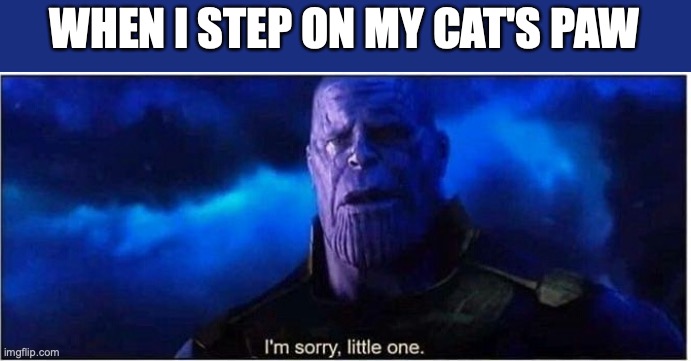Thanos I'm sorry little one | WHEN I STEP ON MY CAT'S PAW | image tagged in thanos i'm sorry little one | made w/ Imgflip meme maker