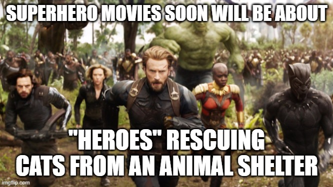 Avengers Infinity War Running | SUPERHERO MOVIES SOON WILL BE ABOUT; "HEROES" RESCUING CATS FROM AN ANIMAL SHELTER | image tagged in avengers infinity war running | made w/ Imgflip meme maker