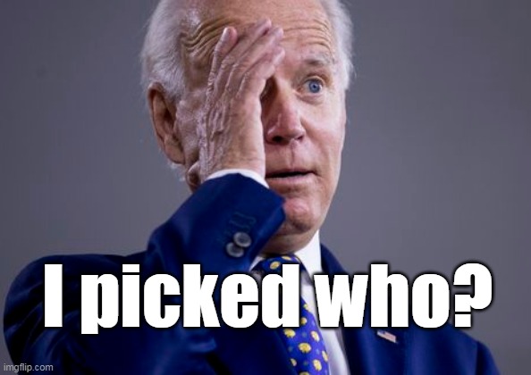 I picked who? | I picked who? | image tagged in biden in shock,biden,harris,vice president | made w/ Imgflip meme maker