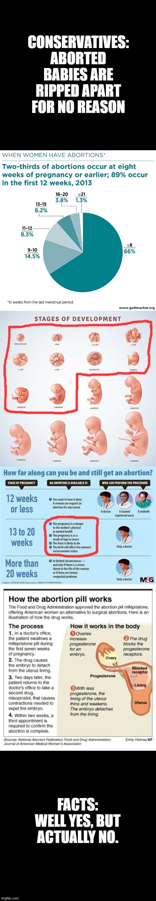 Abortion stats | image tagged in abortion,pro choice,liberals vs conservatives,statistics | made w/ Imgflip meme maker