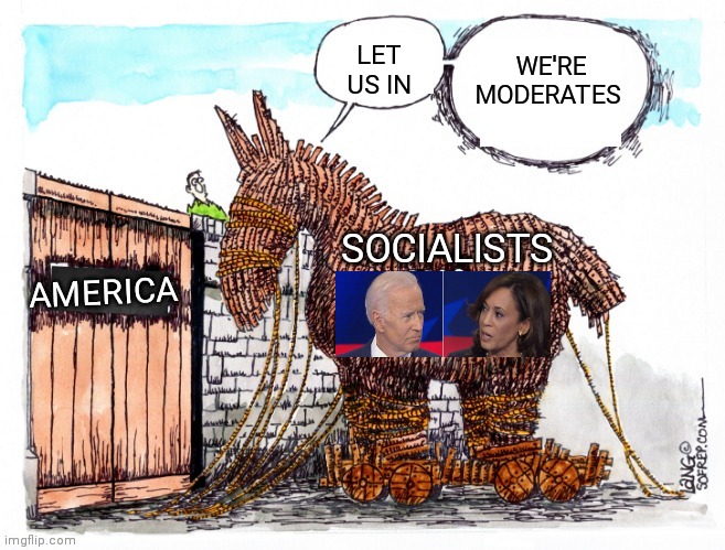 LET US IN; WE'RE MODERATES; AMERICA; SOCIALISTS | image tagged in memes | made w/ Imgflip meme maker