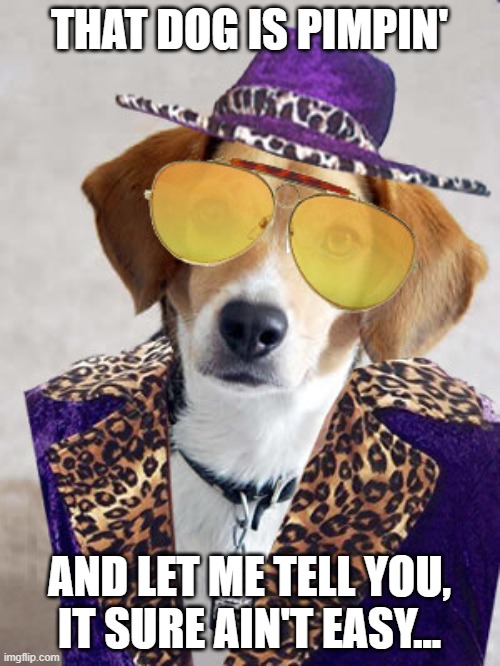 THAT DOG IS PIMPIN' AND LET ME TELL YOU, IT SURE AIN'T EASY... | made w/ Imgflip meme maker