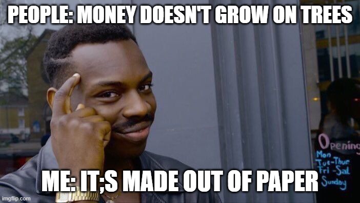 lolol | PEOPLE: MONEY DOESN'T GROW ON TREES; ME: IT;S MADE OUT OF PAPER | image tagged in memes,roll safe think about it | made w/ Imgflip meme maker