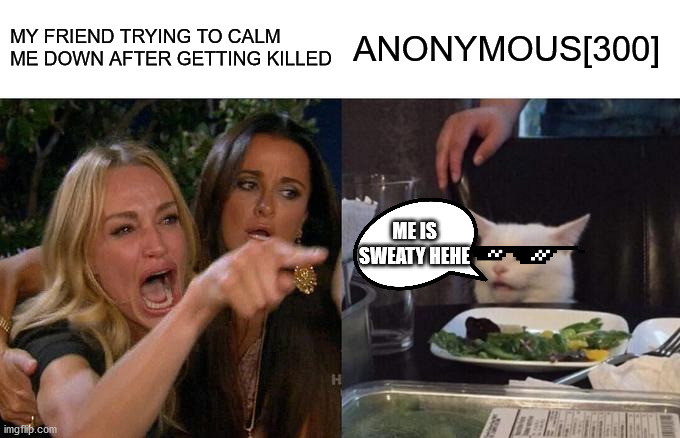soo sweaty | MY FRIEND TRYING TO CALM ME DOWN AFTER GETTING KILLED; ANONYMOUS[300]; ME IS SWEATY HEHE | image tagged in memes,woman yelling at cat | made w/ Imgflip meme maker