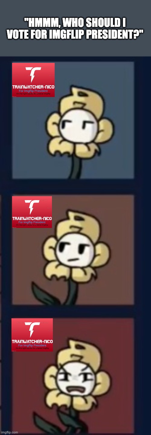 Don't upset flowey, & vote F40PH for Imgflip prez! | "HMMM, WHO SHOULD I VOTE FOR IMGFLIP PRESIDENT?" | image tagged in flowey points aggressively | made w/ Imgflip meme maker