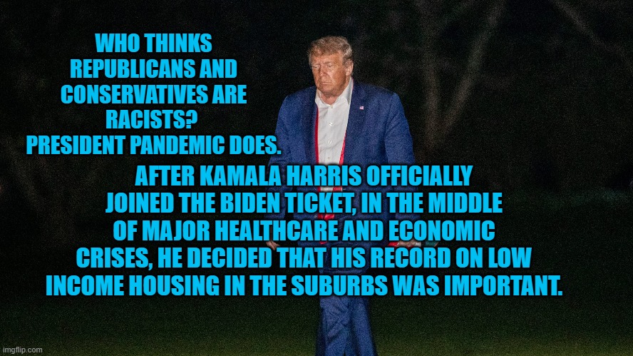 Calling All Racists! | WHO THINKS REPUBLICANS AND CONSERVATIVES ARE RACISTS?  PRESIDENT PANDEMIC DOES. AFTER KAMALA HARRIS OFFICIALLY JOINED THE BIDEN TICKET, IN THE MIDDLE OF MAJOR HEALTHCARE AND ECONOMIC CRISES, HE DECIDED THAT HIS RECORD ON LOW INCOME HOUSING IN THE SUBURBS WAS IMPORTANT. | image tagged in politics | made w/ Imgflip meme maker
