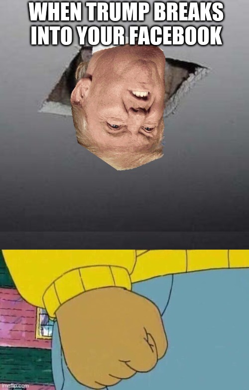 Trump Facebook | WHEN TRUMP BREAKS INTO YOUR FACEBOOK | image tagged in memes,ceiling cat,arthur fist | made w/ Imgflip meme maker