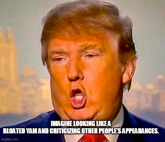 the yam | IMAGINE LOOKING LIKE A BLOATED YAM AND CRITICIZING OTHER PEOPLE'S APPEARANCES. | image tagged in trump | made w/ Imgflip meme maker