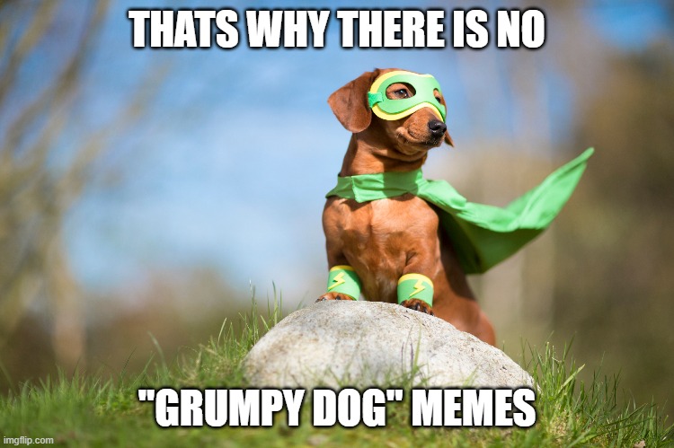 THATS WHY THERE IS NO "GRUMPY DOG" MEMES | made w/ Imgflip meme maker