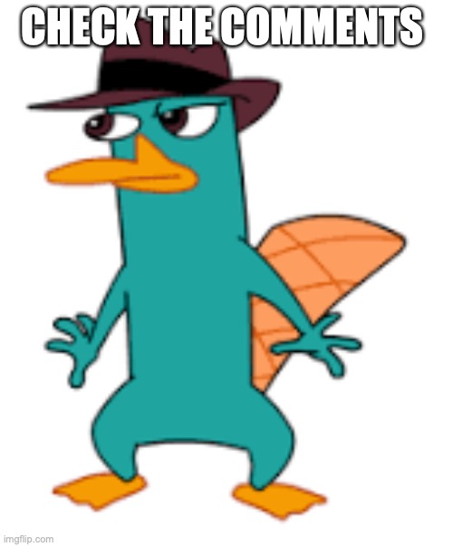 CHECK THE COMMENTS | image tagged in perry | made w/ Imgflip meme maker