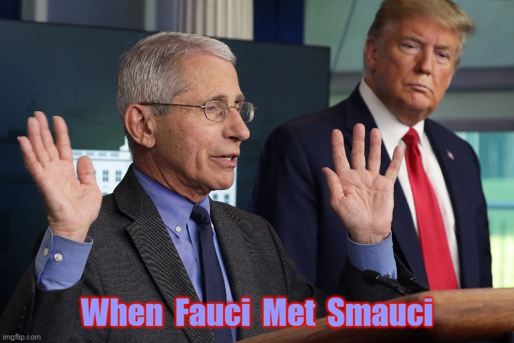 FauciMetSmauci | When  Fauci  Met  Smauci | image tagged in faucimetsmauci | made w/ Imgflip meme maker