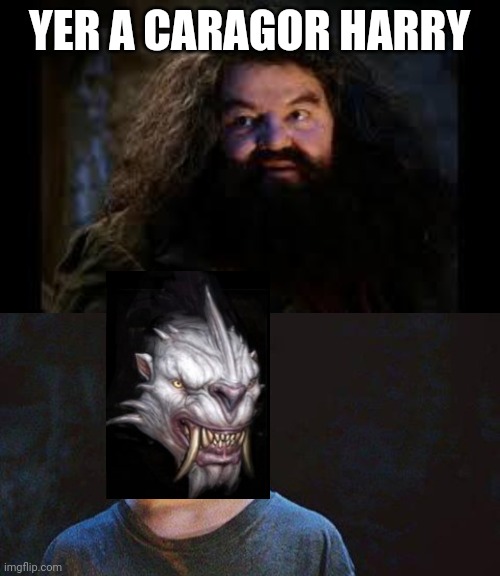 Harry Potter and the Shadow of Hodor | YER A CARAGOR HARRY | image tagged in hagrid,you're a wizard harry,lord of the rings,crossover | made w/ Imgflip meme maker