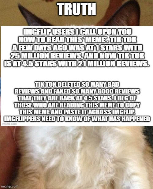... | TRUTH | image tagged in grumpy cat | made w/ Imgflip meme maker