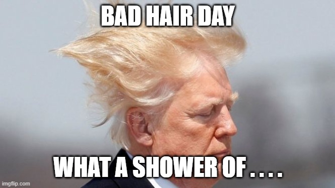 BAD HAIR DAY; WHAT A SHOWER OF . . . . | image tagged in donald trump | made w/ Imgflip meme maker