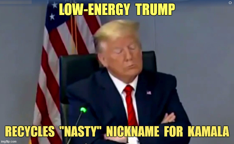 This is one area we expect better from you | LOW-ENERGY  TRUMP; RECYCLES  "NASTY"  NICKNAME  FOR  KAMALA | image tagged in sleepy don trump nods off at covid briefing,nickname,kamala harris,insults,funny,memes | made w/ Imgflip meme maker