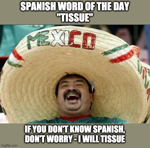 I will tissue | SPANISH WORD OF THE DAY
"TISSUE"; IF YOU DON'T KNOW SPANISH, DON'T WORRY - I WILL TISSUE | image tagged in mexican word of the day | made w/ Imgflip meme maker