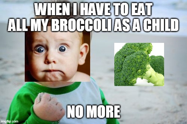 Success Kid Original Meme | WHEN I HAVE TO EAT ALL MY BROCCOLI AS A CHILD; NO MORE | image tagged in memes,success kid original | made w/ Imgflip meme maker