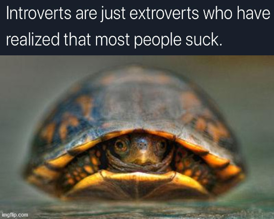 introverts | image tagged in introverts,you suck | made w/ Imgflip meme maker