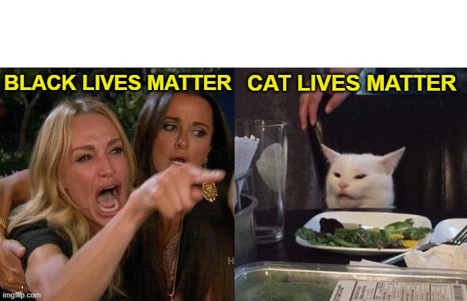 CAT LIVES MATTER | BLACK LIVES MATTER; CAT LIVES MATTER | image tagged in memes,woman yelling at cat,cat lives matter,cats,black lives matter | made w/ Imgflip meme maker