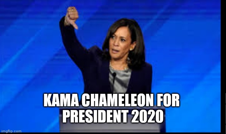 Kamala Harris | KAMA CHAMELEON FOR 
PRESIDENT 2020 | image tagged in memes | made w/ Imgflip meme maker
