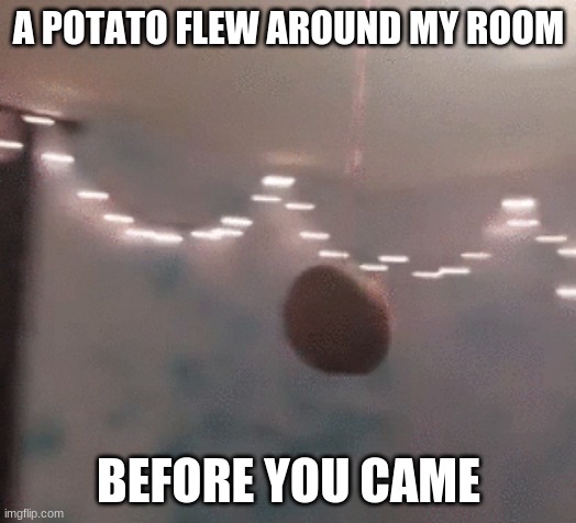 A POTATO FLEW AROUND MY ROOM BEFORE YOU CAME | made w/ Imgflip meme maker