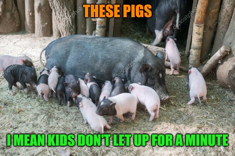 THESE PIGS I MEAN KIDS DON'T LET UP FOR A MINUTE | made w/ Imgflip meme maker
