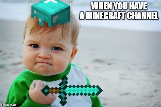 Success Kid Original Meme | WHEN YOU HAVE A MINECRAFT CHANNEL | image tagged in memes,success kid original | made w/ Imgflip meme maker