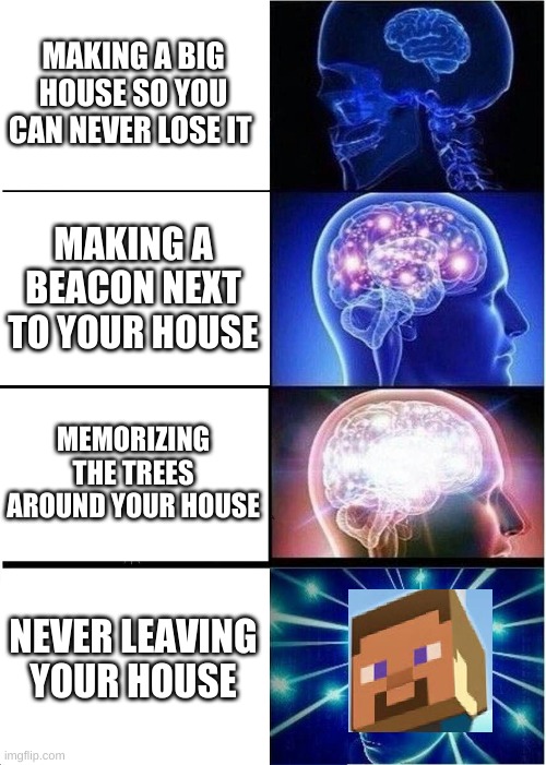 Expanding Brain | MAKING A BIG HOUSE SO YOU CAN NEVER LOSE IT; MAKING A BEACON NEXT TO YOUR HOUSE; MEMORIZING THE TREES AROUND YOUR HOUSE; NEVER LEAVING YOUR HOUSE | image tagged in memes,expanding brain | made w/ Imgflip meme maker
