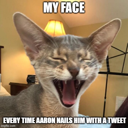 Aaron Rupar Laffy Cat | MY FACE; EVERY TIME AARON NAILS HIM WITH A TWEET | image tagged in laffy cat | made w/ Imgflip meme maker