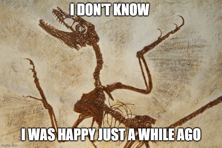 What N' Fossilization | I DON'T KNOW I WAS HAPPY JUST A WHILE AGO | image tagged in what n' fossilization | made w/ Imgflip meme maker