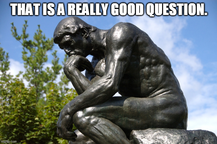 Thinker That is a really good question. | THAT IS A REALLY GOOD QUESTION. | image tagged in thinker | made w/ Imgflip meme maker