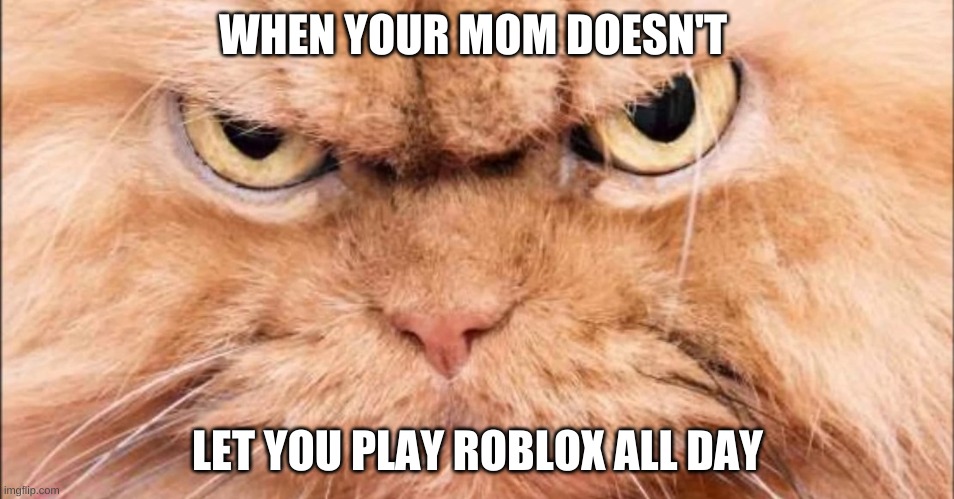mad cat | WHEN YOUR MOM DOESN'T; LET YOU PLAY ROBLOX ALL DAY | image tagged in mad cat | made w/ Imgflip meme maker