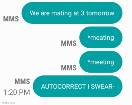 Dang it, autocorrect! (I sent this to a boy...) | made w/ Imgflip meme maker