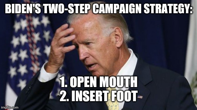 Optional step three: sniff around | BIDEN'S TWO-STEP CAMPAIGN STRATEGY:; 1. OPEN MOUTH
2. INSERT FOOT | image tagged in joe biden worries,creepy joe biden,democratic party,trump 2020,vote trump,trump for president | made w/ Imgflip meme maker