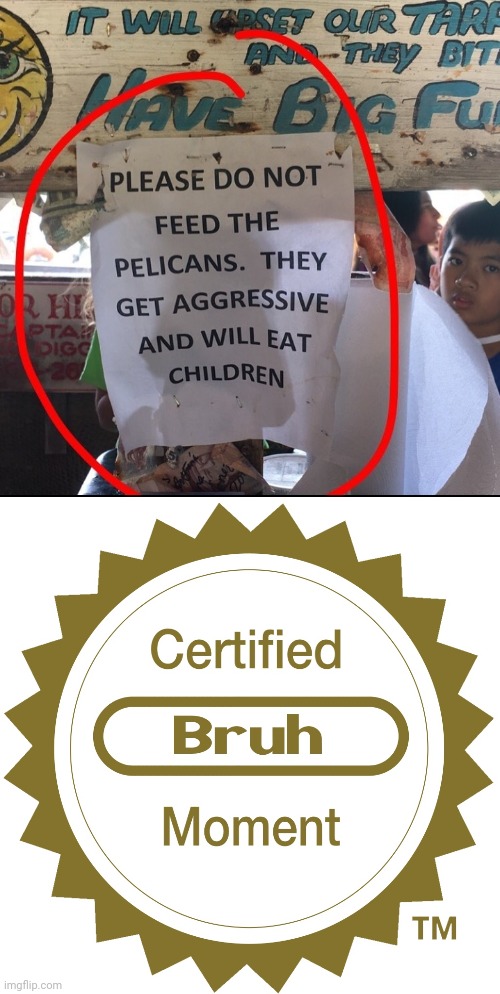 Sign showing please do not feed the pelicans.............. | image tagged in certified bruh moment,funny,memes,meme,signs,pelican | made w/ Imgflip meme maker
