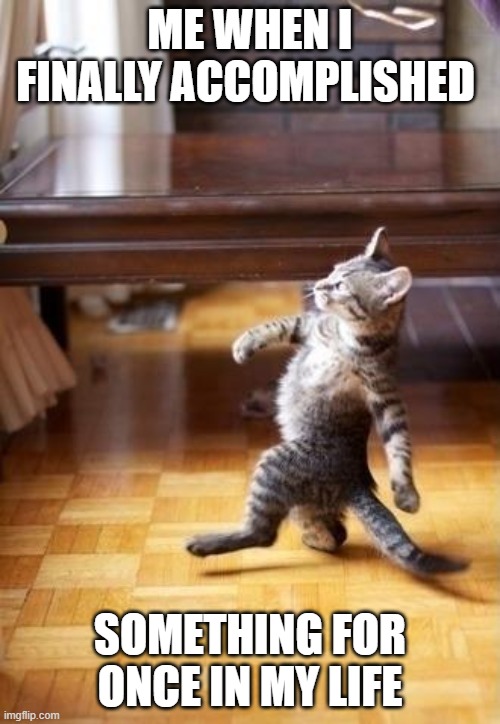 Cool Cat Stroll | ME WHEN I FINALLY ACCOMPLISHED; SOMETHING FOR ONCE IN MY LIFE | image tagged in memes,cool cat stroll | made w/ Imgflip meme maker