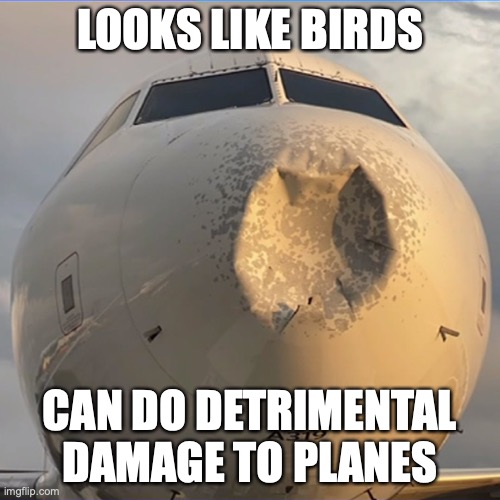 Damaged Delta Place | LOOKS LIKE BIRDS; CAN DO DETRIMENTAL DAMAGE TO PLANES | image tagged in airplane,memes,delta | made w/ Imgflip meme maker