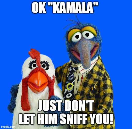 Biden VP | OK "KAMALA"; JUST DON'T LET HIM SNIFF YOU! | image tagged in kamala camilla | made w/ Imgflip meme maker