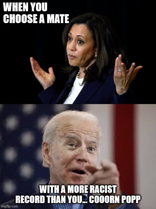 Biden/Harris | WHEN YOU CHOOSE A MATE; WITH A MORE RACIST RECORD THAN YOU... COOORN POPP | image tagged in joe biden,kamala harris | made w/ Imgflip meme maker
