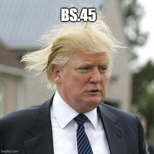 Donald Trump | BS.45 | image tagged in donald trump | made w/ Imgflip meme maker