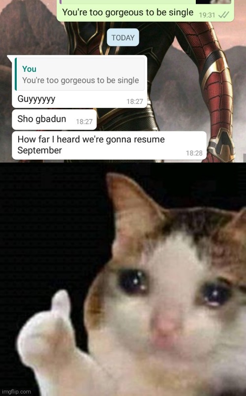 image tagged in sad thumbs up cat | made w/ Imgflip meme maker