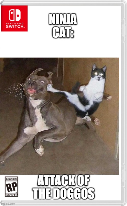 ninja cat: attack of the doggos | NINJA CAT:; ATTACK OF THE DOGGOS | image tagged in dog,cat,ninja | made w/ Imgflip meme maker