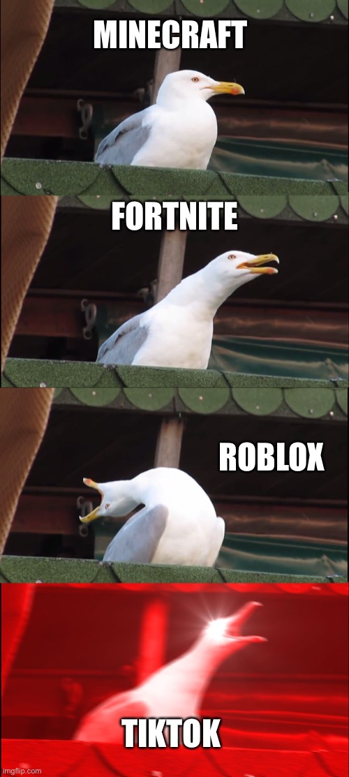 Seagull Bit€h | MINECRAFT; FORTNITE; ROBLOX; TIKTOK | image tagged in memes,inhaling seagull | made w/ Imgflip meme maker