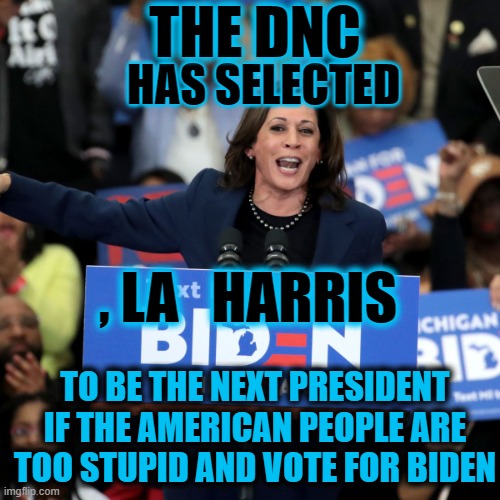 THE DNC HAS SELECTED THEIR NOMINEE TO BE THE NEXT PRESIDENT...AND IT AIN'T JOE BIDEN | THE DNC; HAS SELECTED; , LA   HARRIS; TO BE THE NEXT PRESIDENT
IF THE AMERICAN PEOPLE ARE TOO STUPID AND VOTE FOR BIDEN | image tagged in dnc politcs socialist | made w/ Imgflip meme maker