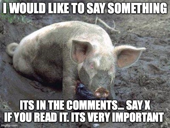 IMPORTANT MESSAGE | I WOULD LIKE TO SAY SOMETHING; ITS IN THE COMMENTS... SAY X IF YOU READ IT. ITS VERY IMPORTANT | image tagged in pig in mud,mudslinging,president puppy | made w/ Imgflip meme maker