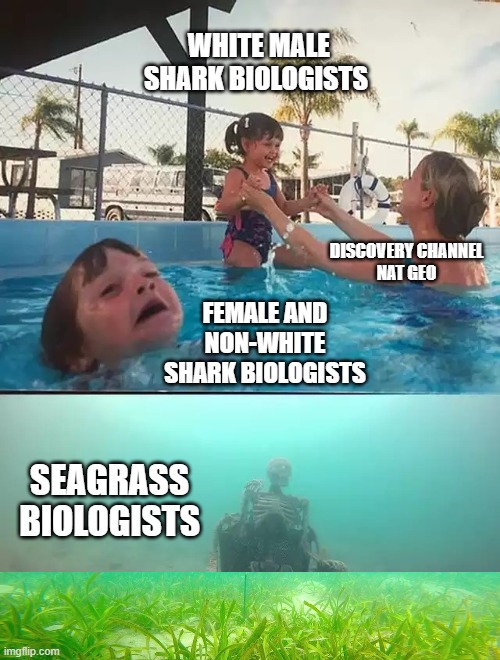Drowning marine biologists | WHITE MALE SHARK BIOLOGISTS; DISCOVERY CHANNEL
NAT GEO; FEMALE AND NON-WHITE SHARK BIOLOGISTS; SEAGRASS BIOLOGISTS | image tagged in drowning kid and skeleton | made w/ Imgflip meme maker